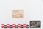 Foto von Bernsteinschieber (NHMW-PRAE-024740)